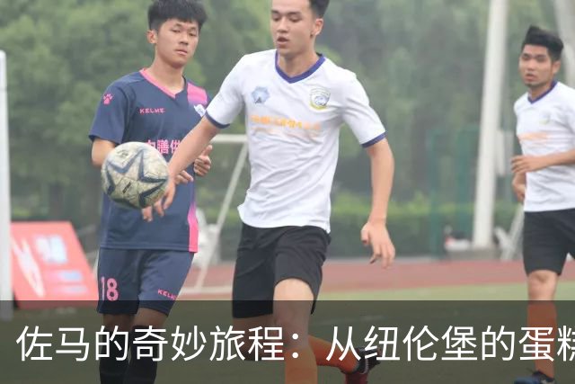 佐马的奇妙旅程：从纽伦堡的蛋糕到蓝衣军团的荣耀