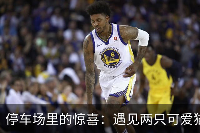 停车场里的惊喜：遇见两只可爱猫咪的欢乐瞬间！