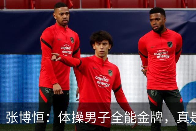 张博恒：体操男子全能金牌，真是太“转”了！